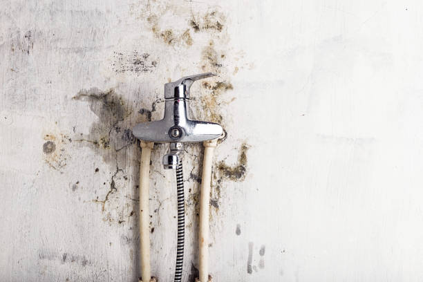 Best Home Mold Removal  in Glenmoor, OH