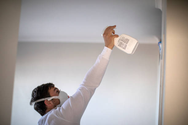 Best Fast Mold Removal  in Glenmoor, OH